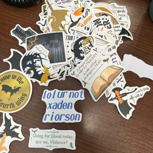 Fourth Wing Assorted Sticker Set